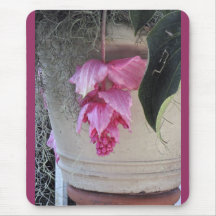 Pretty Pink Flowers, Flower Pot Mousepads