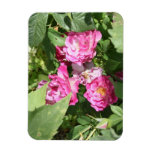 Pretty Pink Flowers Magnet magnets