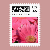 Pretty Pink Gerberas stamps