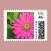 Pretty Pink Gerberas stamps