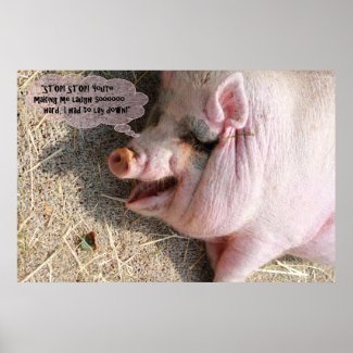 Pretty Pink-Grey Pig is Laughing So Hard