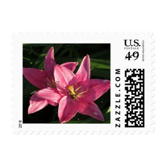 Pretty Pink Lilies Stamps