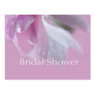 pretty pink magnolia flower bridal shower postcard