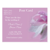 pretty pink magnolia flower save the date wedding postcard