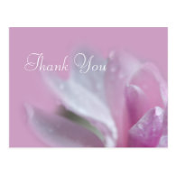 pretty pink magnolia flower thank you postcard. postcard