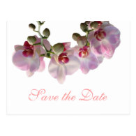 pretty pink orchid flowers  save the date wedding post cards