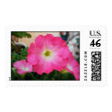 Pretty Pink Petunia postage by princessklb07 Pretty Pink Petunia postage
