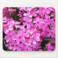 Pretty Pink Phlox mousepad