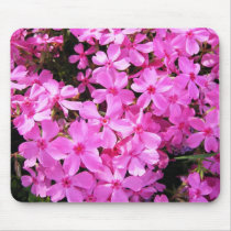 Pretty Pink Phlox mousepads