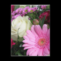 Pretty pink Postcard