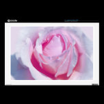 Pretty Pink Rose skins