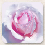 Pretty Pink Rose cork coasters