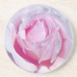 Pretty Pink Rose coasters