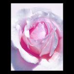 Pretty Pink Rose letterhead