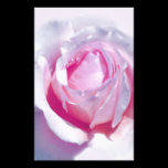 Pretty Pink Rose stationery
