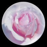 Pretty Pink Rose plates