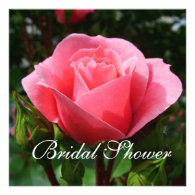Pretty pink rose flower bridal shower invitation