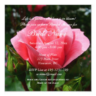 Pretty pink rose flower bridal shower invitation personalized announcements