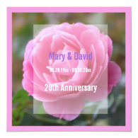 Pretty pink rose flower wedding anniversary announcement
