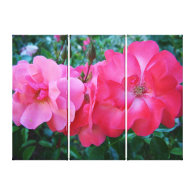 pretty pink rose flowers stretched canvas print