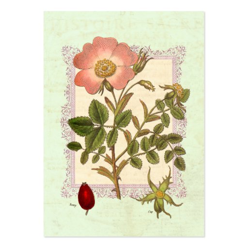Pretty Pink Rose Garden Florist Business Card (back side)