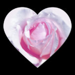 Pretty Pink Rose stickers