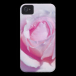 Pretty Pink Rose casemate cases