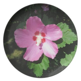 Pretty Pink Rose Of Sharon Flower Plates
