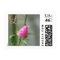 Pretty Pink Rose postage by princessklb07 Pretty Pink Rose postage