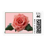 'Pretty Pink Rose" Postage Stamps