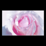 Pretty Pink Rose stickers