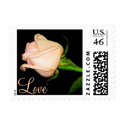 Pretty Pink Rose Stamp