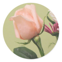 Pretty Pink Rose stickers by princessklb07 Pretty Pink Rose stickers