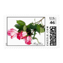 Pretty pink roses postage