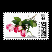 Pretty pink roses postage