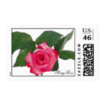 Pretty pink single rose postage