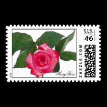 Pretty pink single rose postage