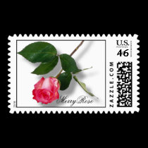 Pretty pink single rose postage