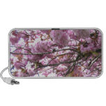 Pretty Pink Spring is Here Cherry Blossoms Portable Speaker