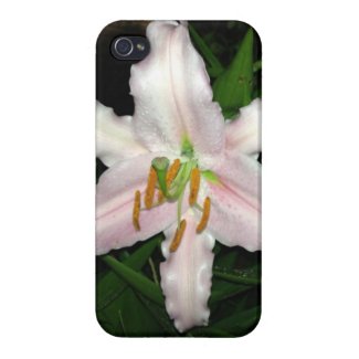 Pretty Pink Stargazer Lily At Night Case For iPhone 4