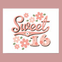 Pretty Pink Sweet 16 Poster Print