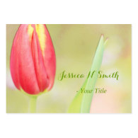 pretty pink tulip flower photo art professional business card templates