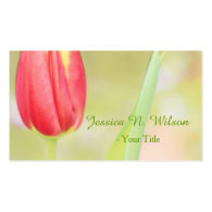 pretty pink tulip flower photo art professional business card