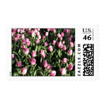 Pretty pink tulip garden stamp