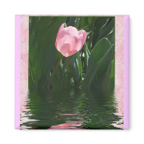 Pretty Pink Tulip Magnet by designcreatology Pretty Pink Tulip Magnet