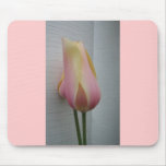 Pretty Pink Tulip Mouse Pad