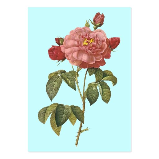 *Pretty Pink Vintage Flower* Business Cards (back side)