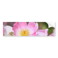 pretty pink wild rose flowers for ladies bumper sticker
