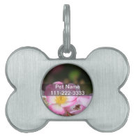 pretty pink wild rose flowers for ladies pet tag