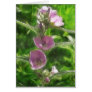 Pretty Pink Wildflowers 1